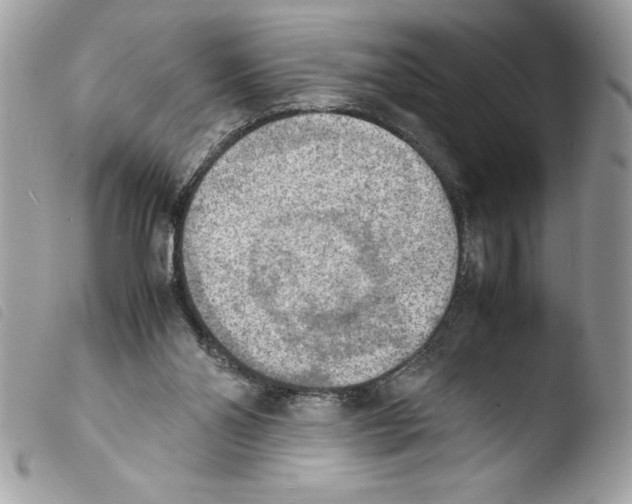 X0000103900110200810171623