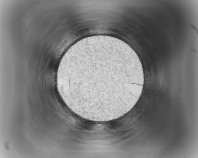 X0000103900111200810171623