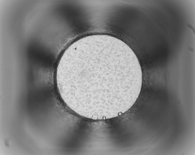 X0000103900112200810171623