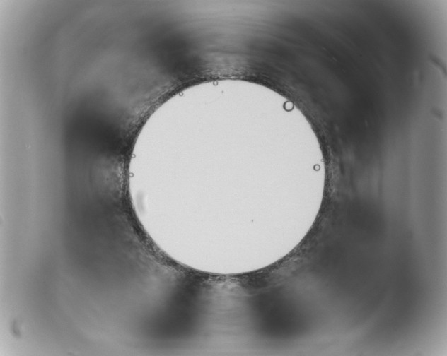 X0000103900113200810171623