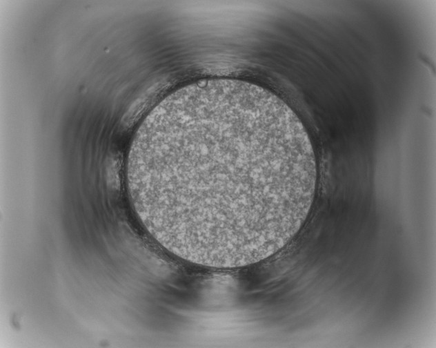 X0000103900114200810171623