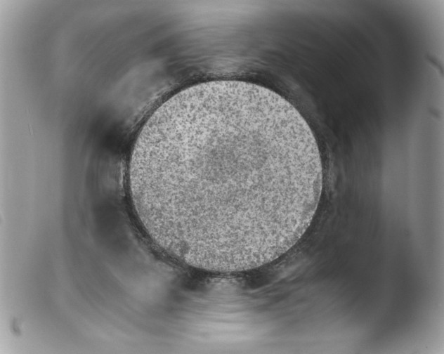 X0000103900115200810171623