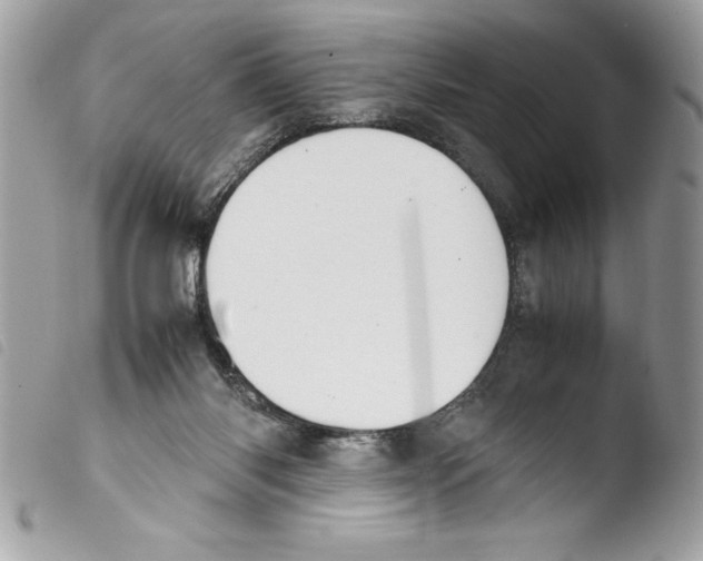 X0000103900118200810171623