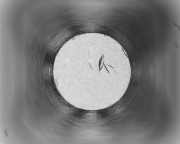 X0000103900119200810171623