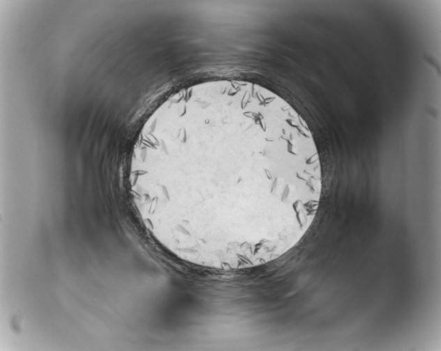 X0000103900120200810171623