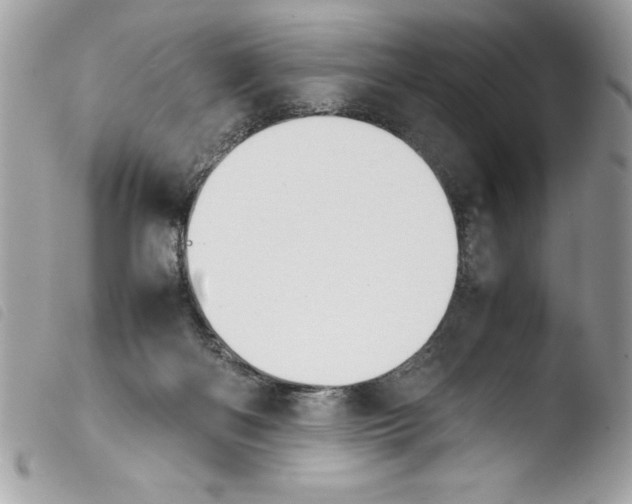 X0000103900122200810171623