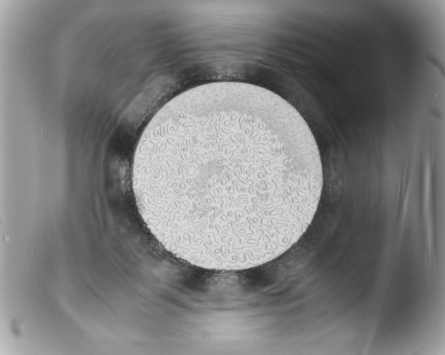 X0000103900123200810171623