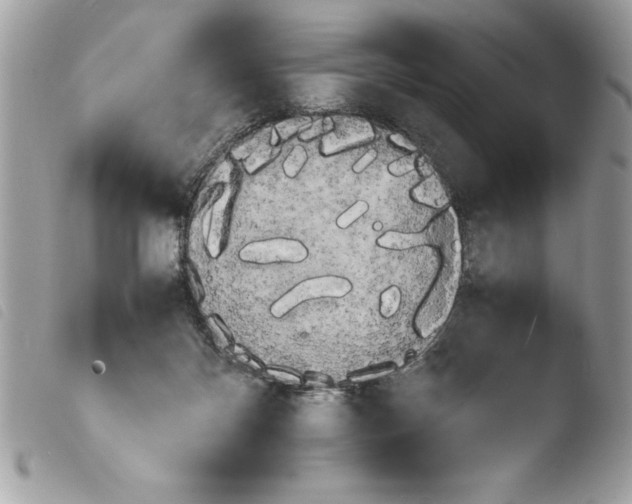 X0000103900124200810171623