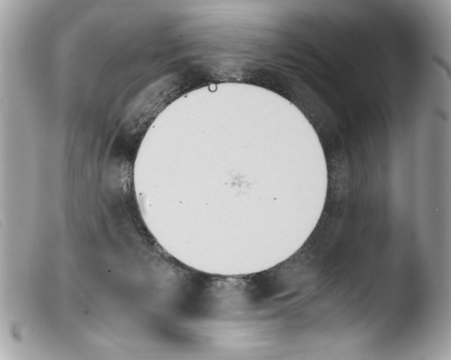 X0000103900125200810171623