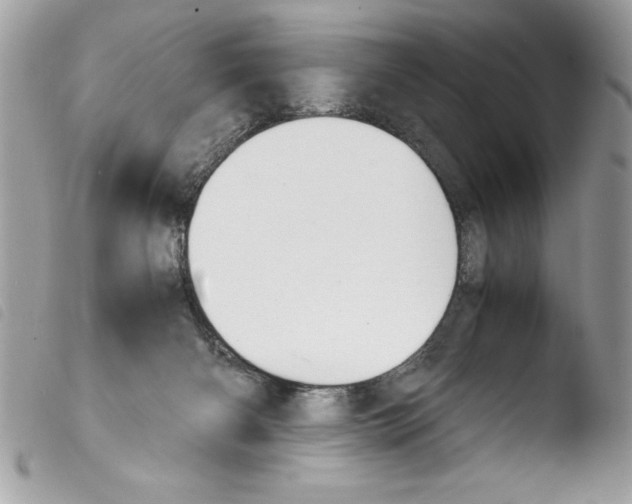 X0000103900126200810171623