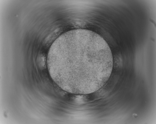 X0000103900130200810171623