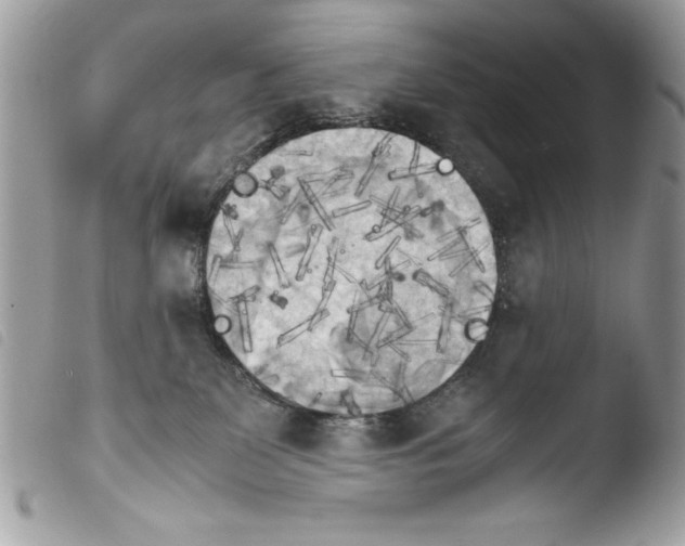 X0000103900131200810171623