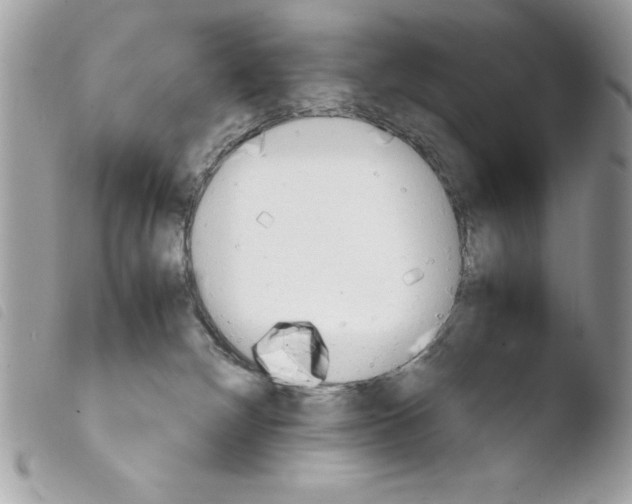 X0000103900132200810171623