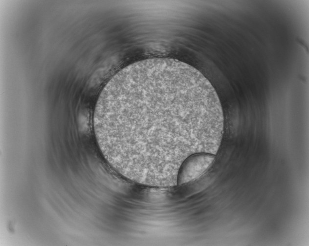 X0000103900134200810171623