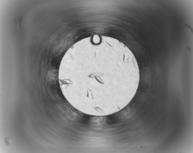 X0000103900135200810171623