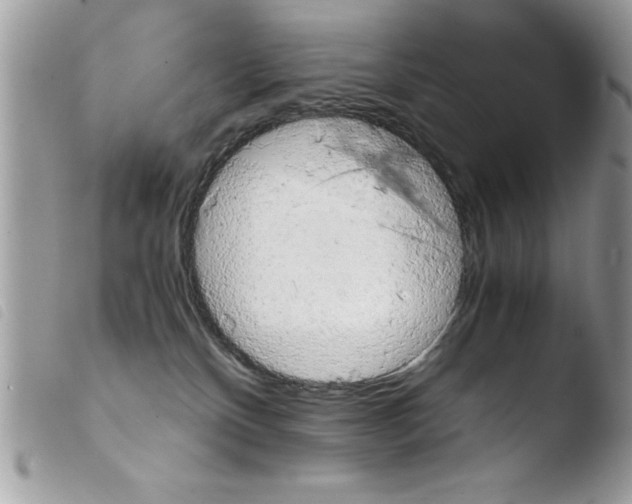 X0000103900136200810171623