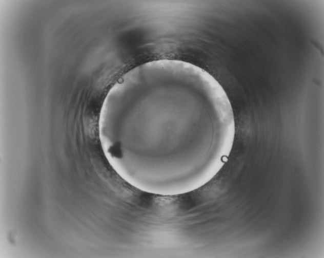 X0000103900139200810171623