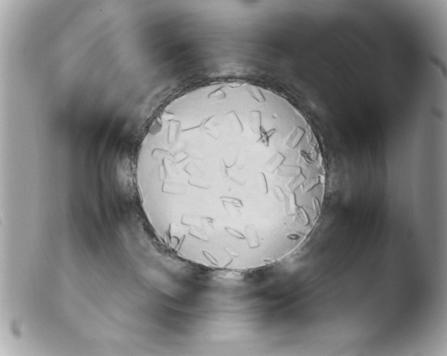 X0000103900140200810171623