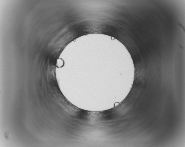 X0000103900141200810171623