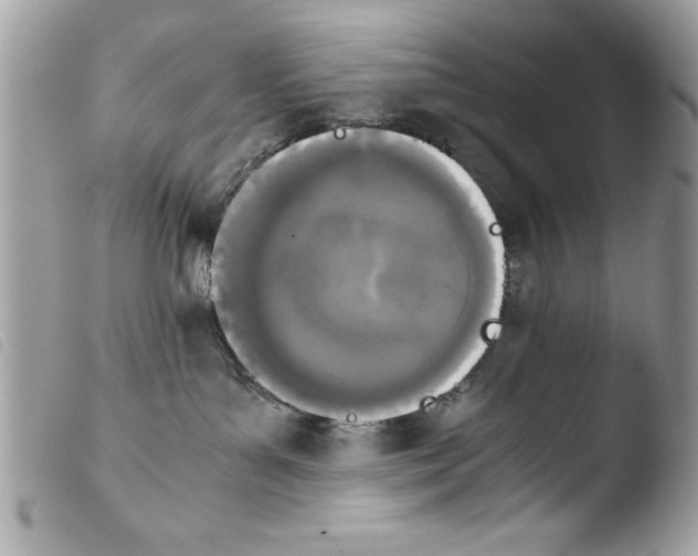 X0000103900143200810171623