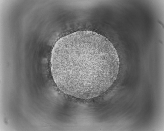 X0000103900144200810171623