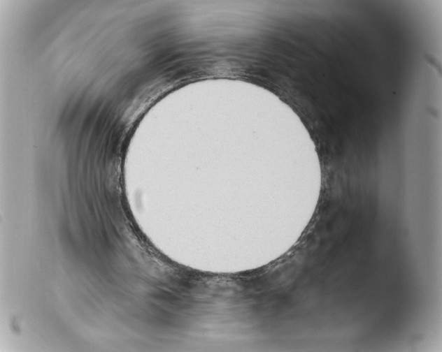 X0000103900146200810171622