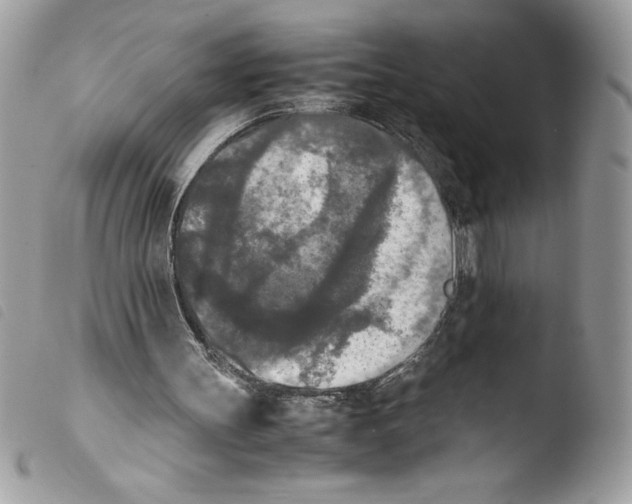 X0000103900147200810171622