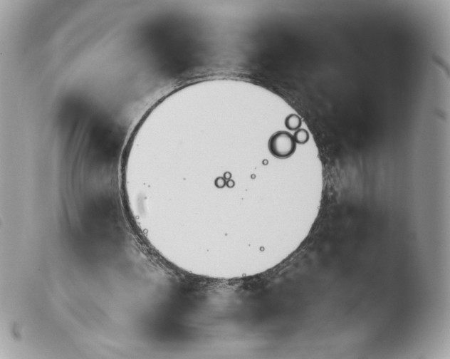 X0000103900148200810171622