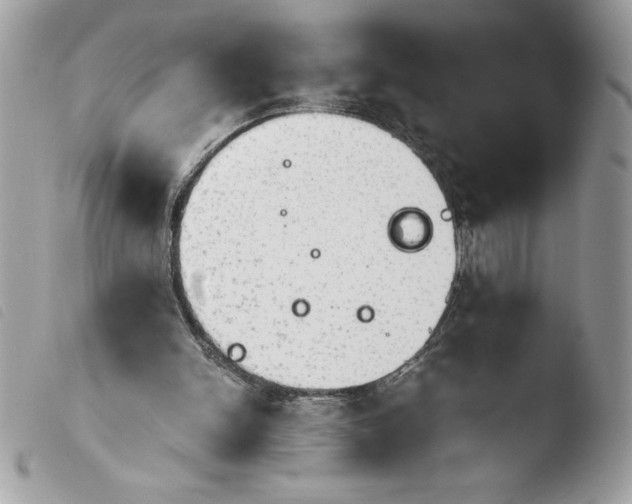 X0000103900150200810171622