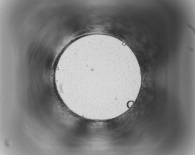 X0000103900152200810171622