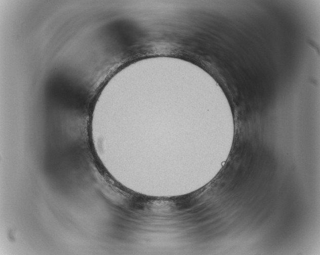 X0000103900154200810171622