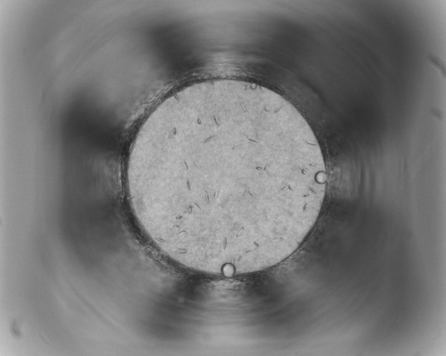 X0000103900158200810171622