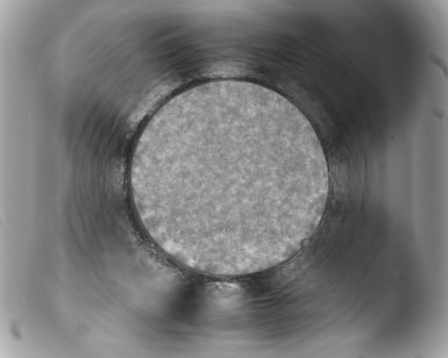 X0000103900159200810171622