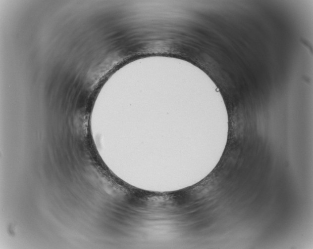 X0000103900160200810171622