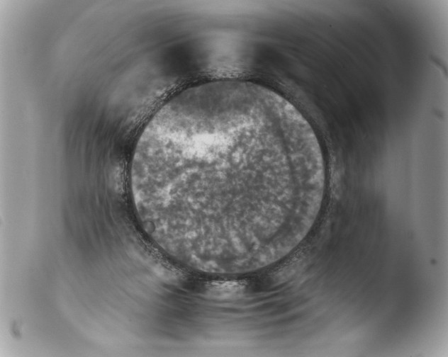 X0000103900161200810171622