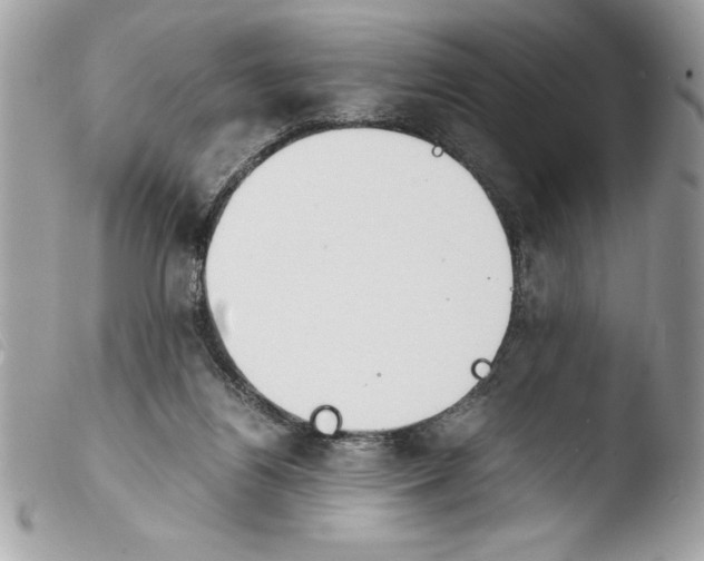 X0000103900164200810171622