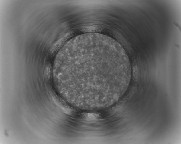 X0000103900165200810171622