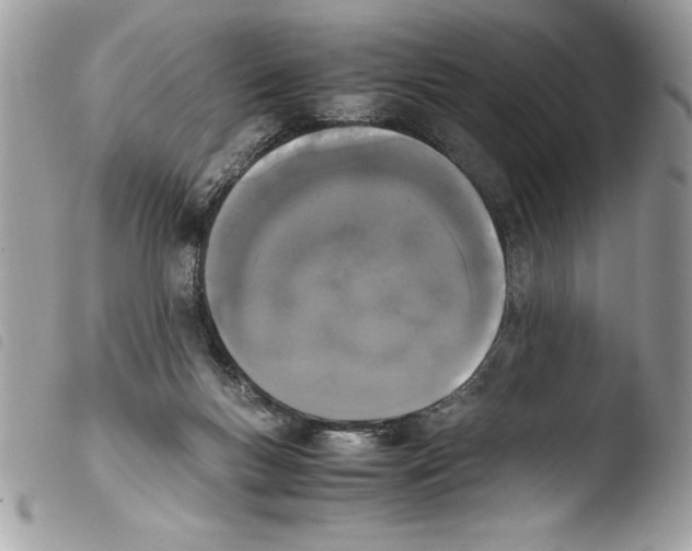 X0000103900167200810171622