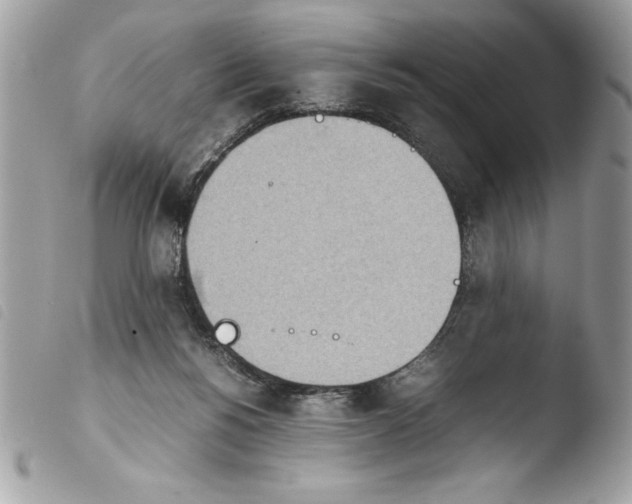 X0000103900168200810171622