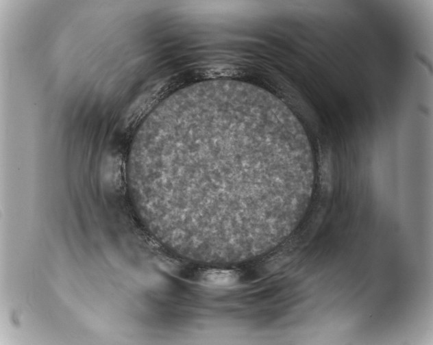 X0000103900169200810171622