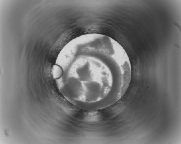 X0000103900173200810171622