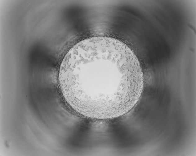 X0000103900174200810171622