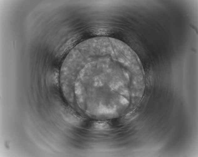 X0000103900175200810171622