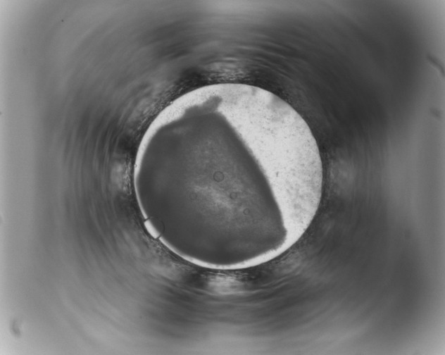 X0000103900177200810171622