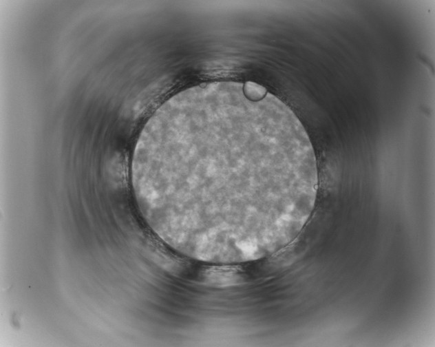 X0000103900179200810171622