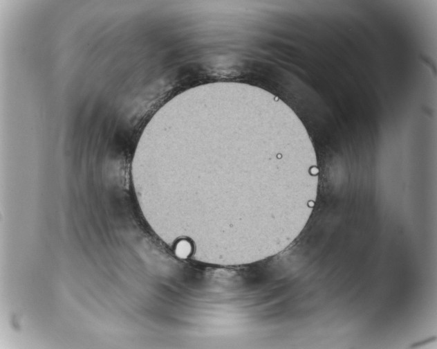 X0000103900180200810171622