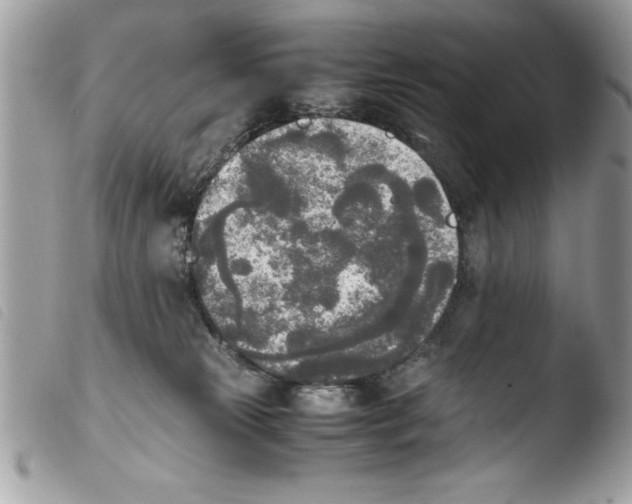 X0000103900181200810171622