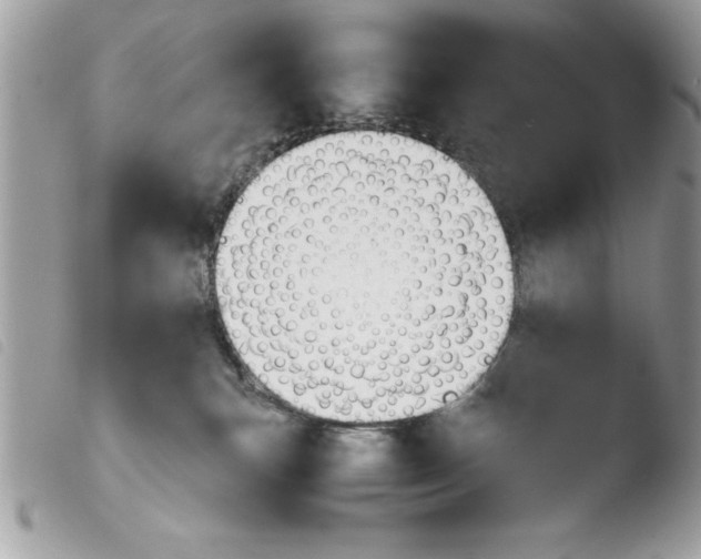 X0000103900183200810171622