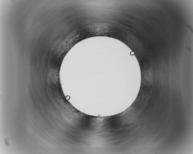 X0000103900184200810171623