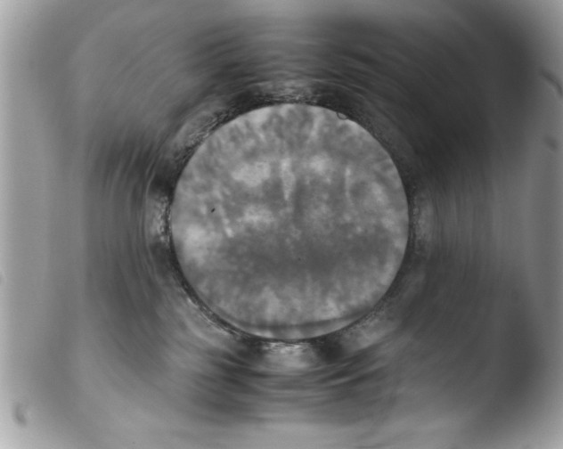 X0000103900185200810171623